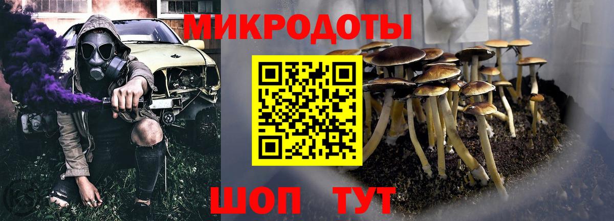 закладка  Псилоцибиновые грибы мухоморы  Вход с VPN  Кировск 
